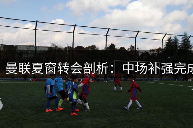 曼联夏窗转会剖析：中场补强完成 左后卫成重点